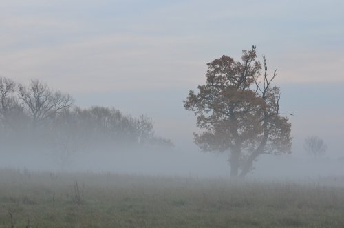 Fog approaching