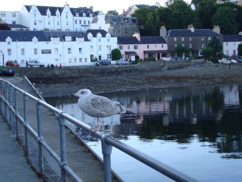 Portree