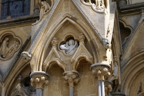 The dove found the Angel