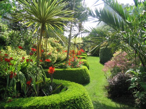 Sub tropical walled garden