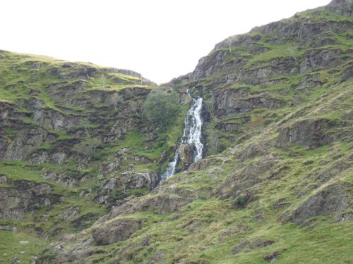 The top part of Moss Force