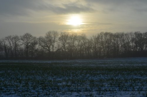 Winter sunset