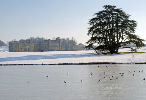Leeds Castle winter scene
