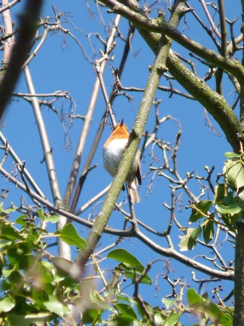 The high flyer on a high note!