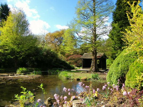 Springtime in the Japanese Garden