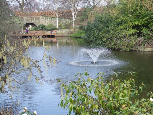 The Dingle Gardens, Shropshire