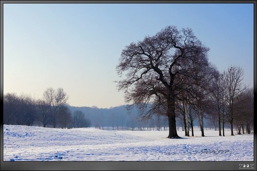 Delapre Park Golf Club