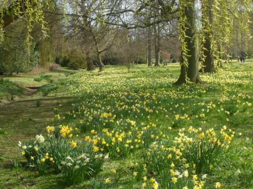 Belton House, grounds, Lincolnshire