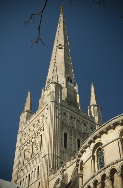 Lofty Nest, Norwich Cathedral, Norfolk