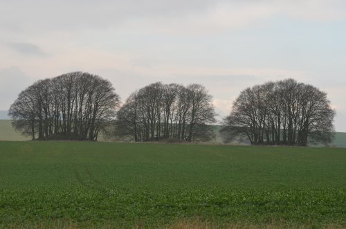 Tumuli near Avebury