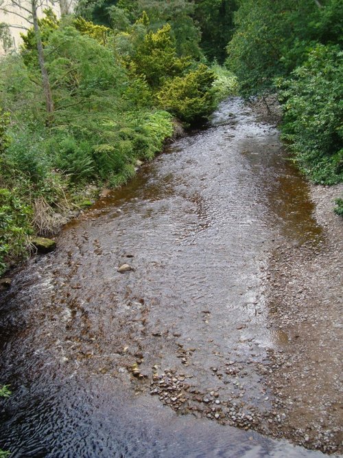 Wild Garden and Cawdor Burn