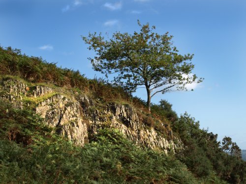 Ambleside, Todd Crag