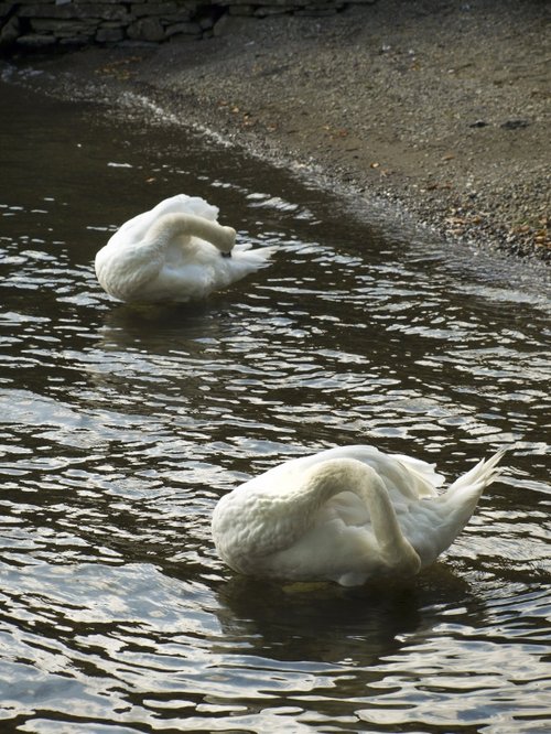 Windermere West Shore