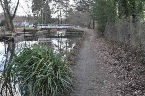 Towpath views