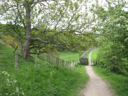 View on Kirkby Stephen walk via Podgill Viaduct