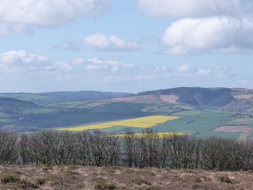 Quantock Hills