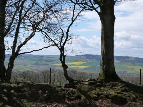 Quantock Hills