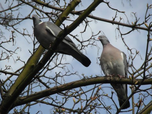 You keep a look out, I'll watch your back.