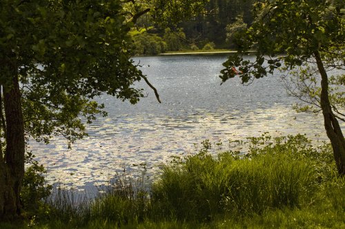 Ambleside, Loughrigg Tarn