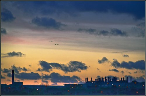 Toyota Skyline, Burnaston.