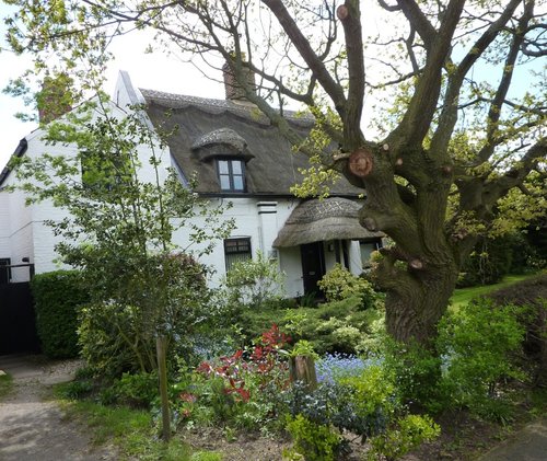 A pretty thatched house in Belton