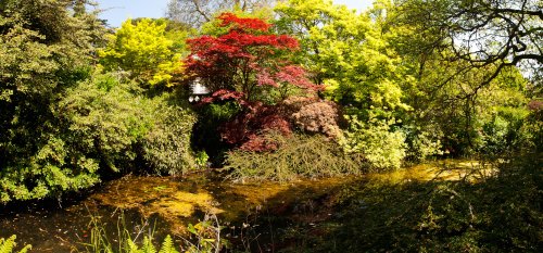 Bath Botanical Gardens