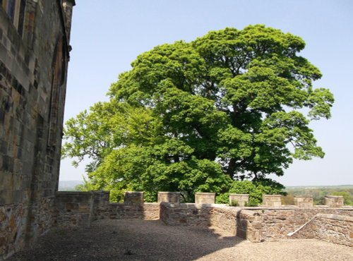 Auckland Castle, Bishop Auckland, Durham  24 May 2012