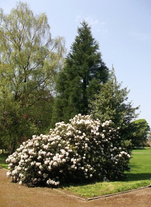 Auckland Castle, Bishop Auckland, Durham  24 May 2012
