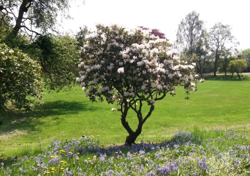 Auckland Castle, Bishop Auckland, Durham  24 May 2012
