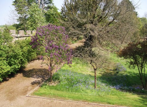 Auckland Castle, Bishop Auckland, Durham  24 May 2012