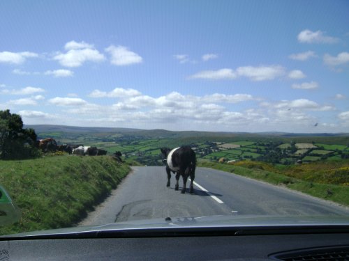 Widecomb in the Moor and Dartmoor traffic