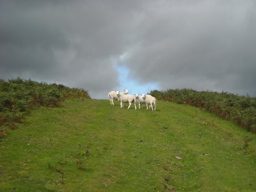 Aberbran, Powys