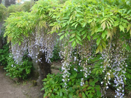 Overbeck's House and Garden