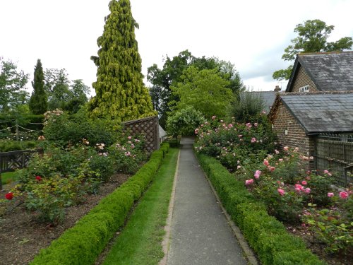 Borde Hill Garden 24 June 2011