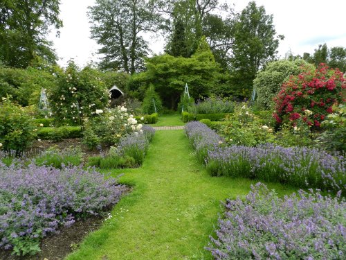 Borde Hill Garden 24 June 2011