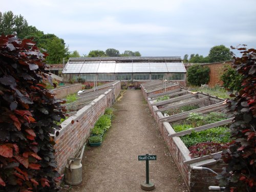 Barrington Court June 2009