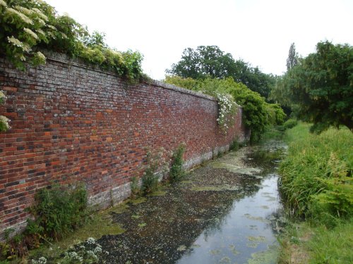 Barrington Court June 2009