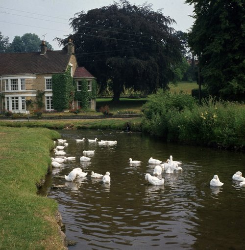 Thornton-le-Dale near Pickering, North Yorks