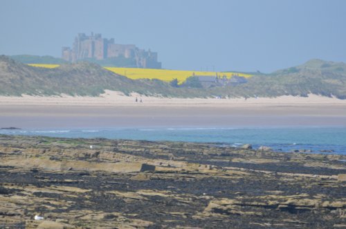 Bamburgh from Seahouses harbour