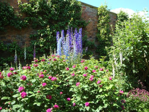 Buscot Park June 2008
