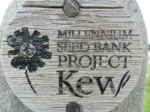 Wakehurst Place 24 June 2011