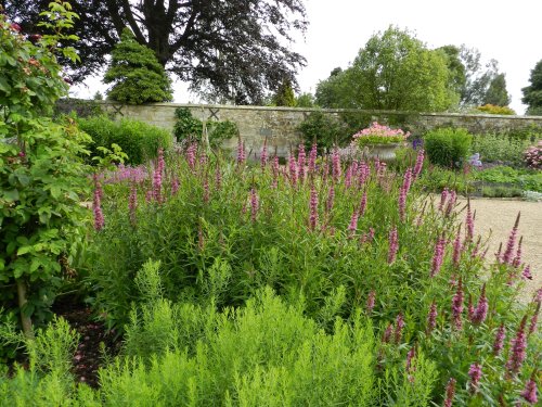 Wakehurst Place 24 June 2011