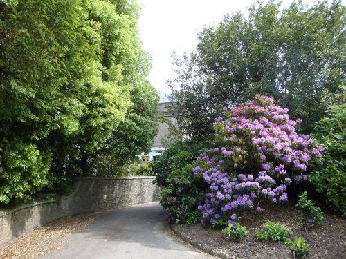 Trelissick Gardens June 2009