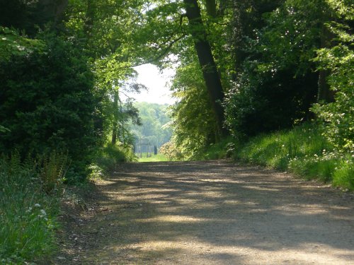 A Monument at Thorp Perrow Arboretum