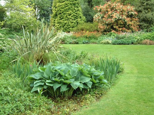 Beth Chatto Gardens, May 2001