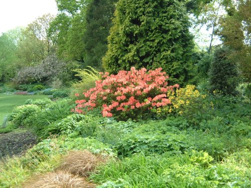 Beth Chatto Gardens, May 2001