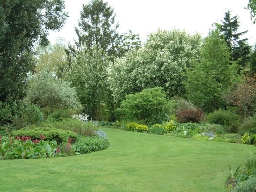 Beth Chatto Gardens, May 2001