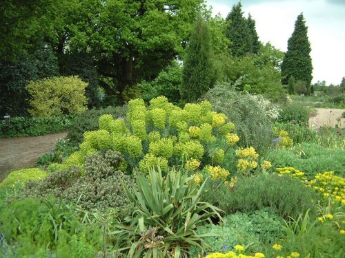 Beth Chatto Gardens, May 2001