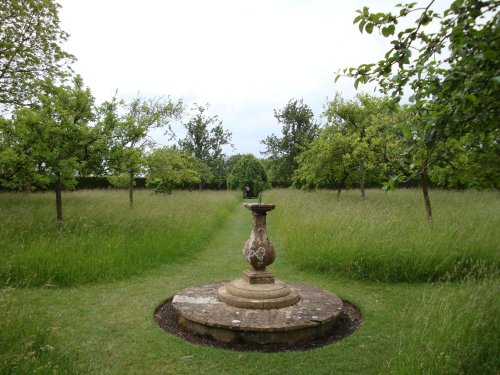 Lytes Cary Manor, June 2009