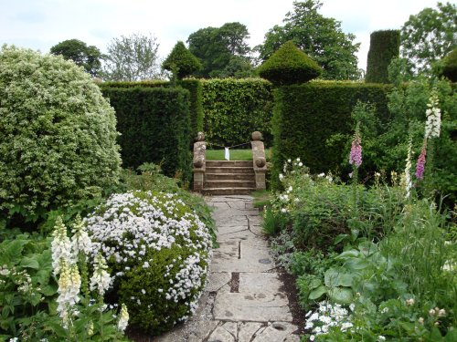 Lytes Cary Manor, June 2009